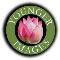 Younger Images Spa